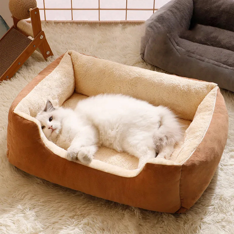 Bed For Cats Pet Products Warm Cushions Kitten Goods Accessories Dog All Beds And Furniture Things Accessory Habitats House Beds